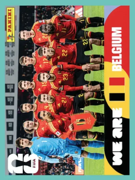 493 - BEL 13 (Americana)