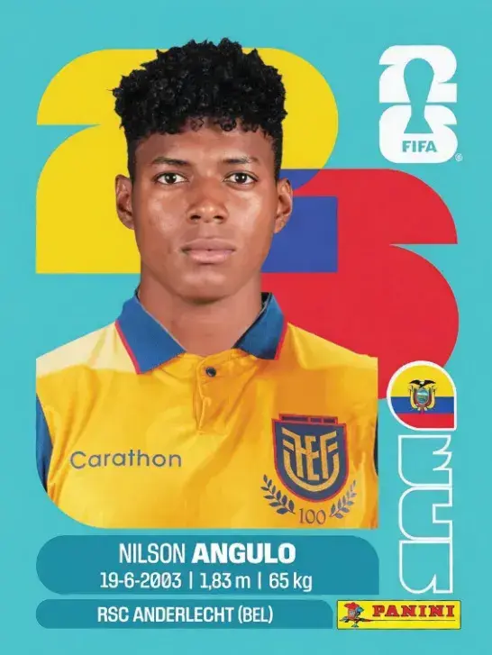 397 - ECU 17 (Americana)