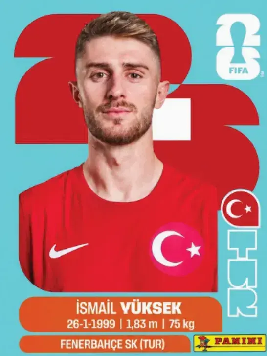 310 - TUR 10 (Americana)