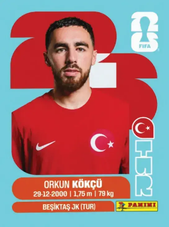 312 - TUR 12 (Americana)